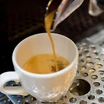 Sauce Hotel Saragossa