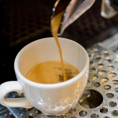 Sauce Hotell Zaragoza