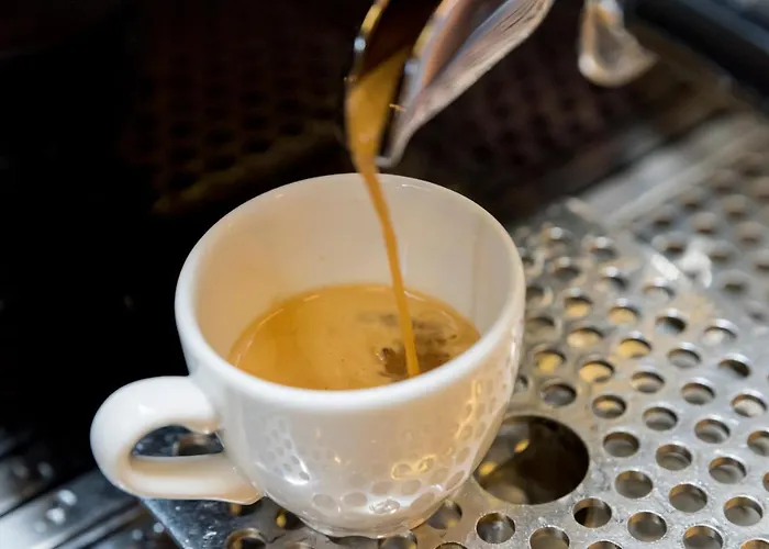 Sauce Hotel Zaragoza